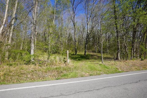 Hunting Land with Food Plots