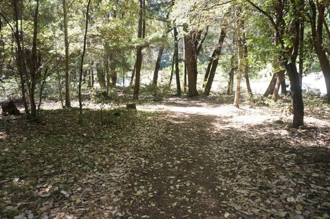 Usable Land with Agricultural Well