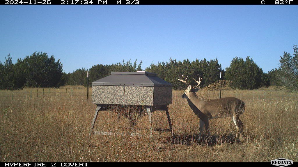Picture 3