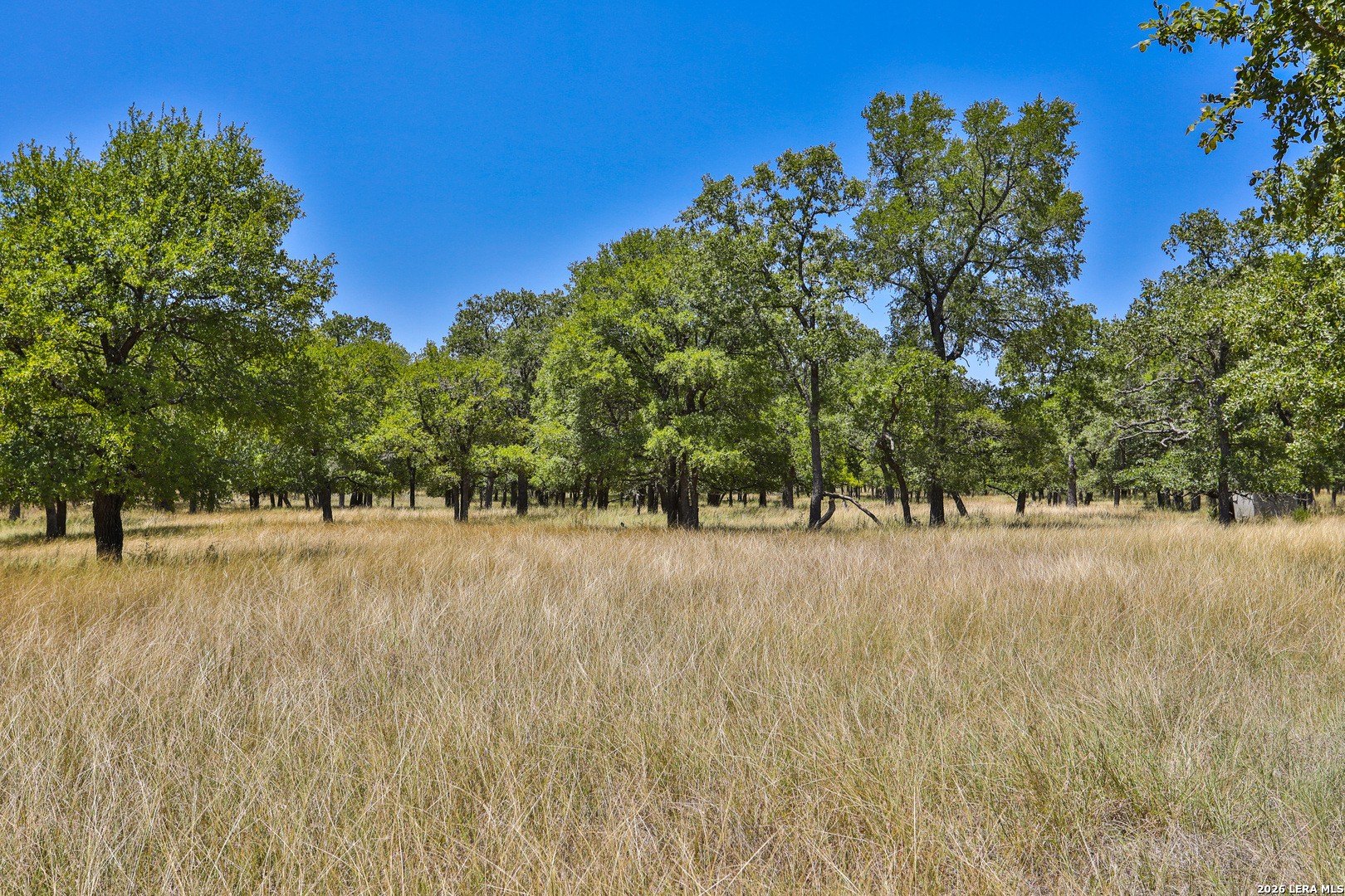 Bulverde Land with Ag Exemption