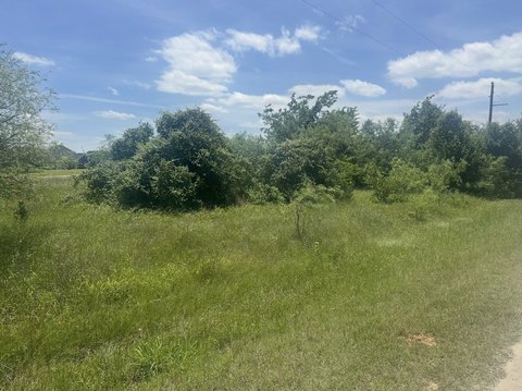 Resort-Adjacent Home Lot