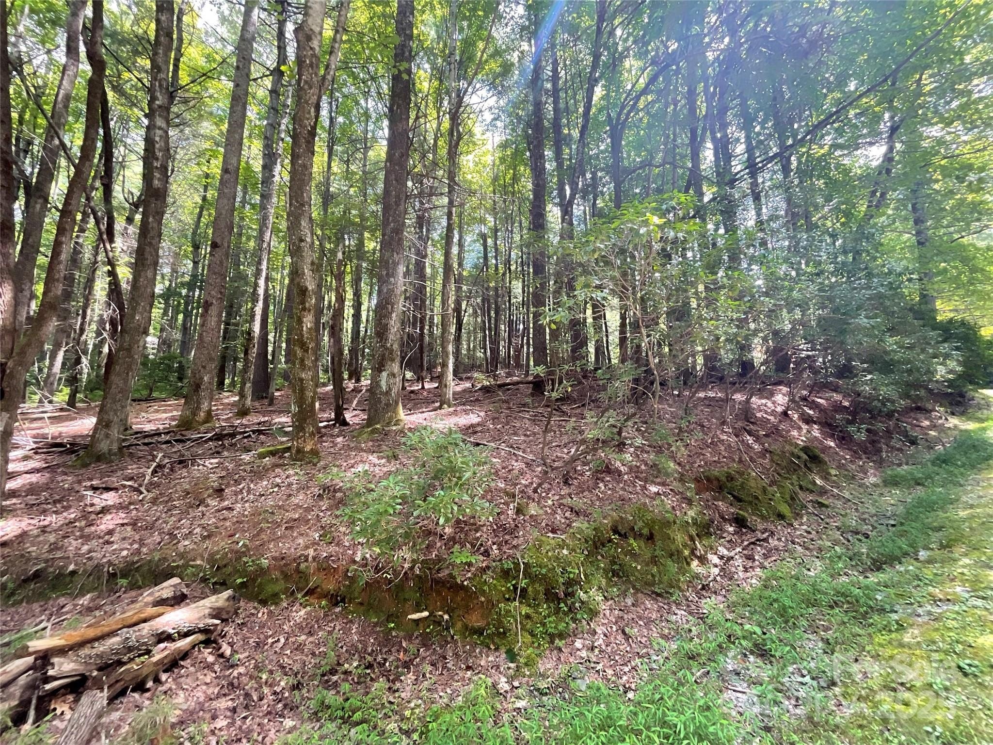 Wooded Lot in Connestee Falls