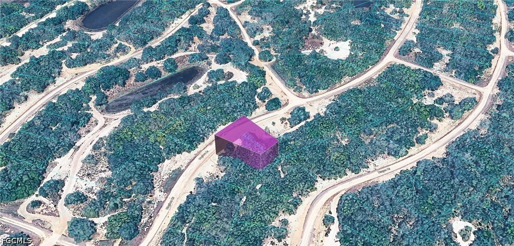 Picture 3