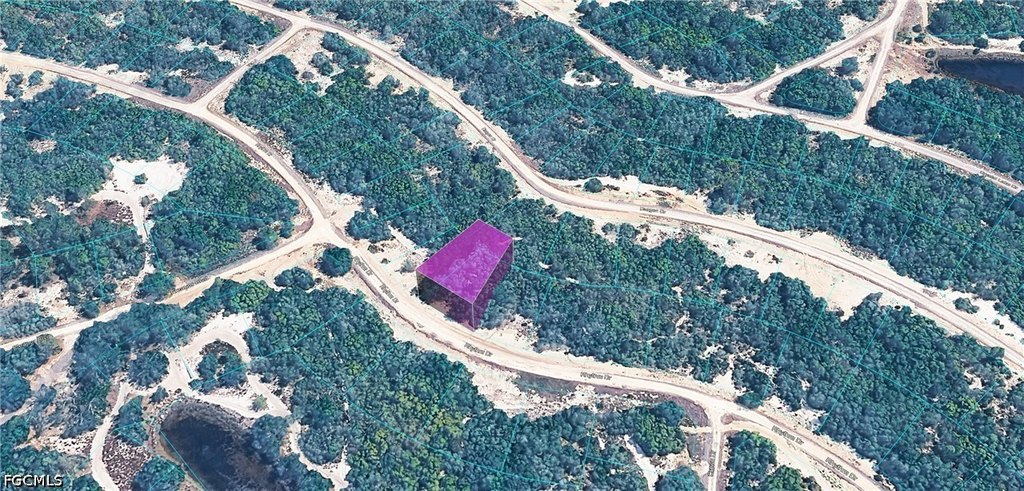 Picture 2