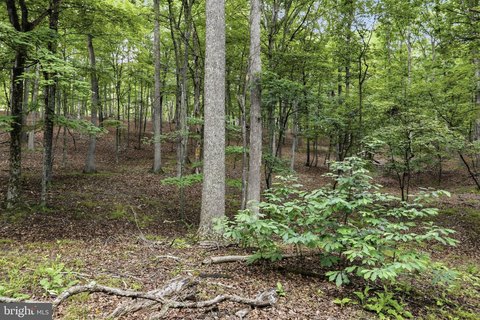 Land, GREAT CACAPON, WV