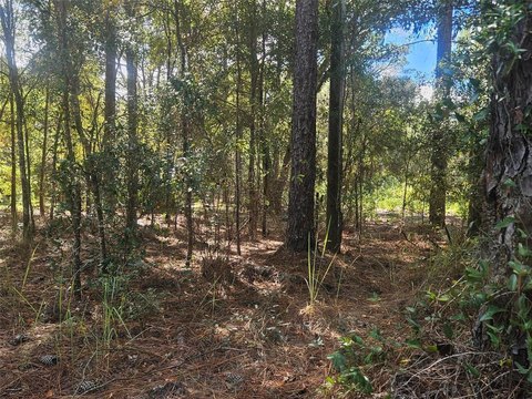 Residential Land Lot