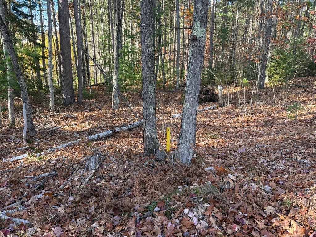 Picture 19