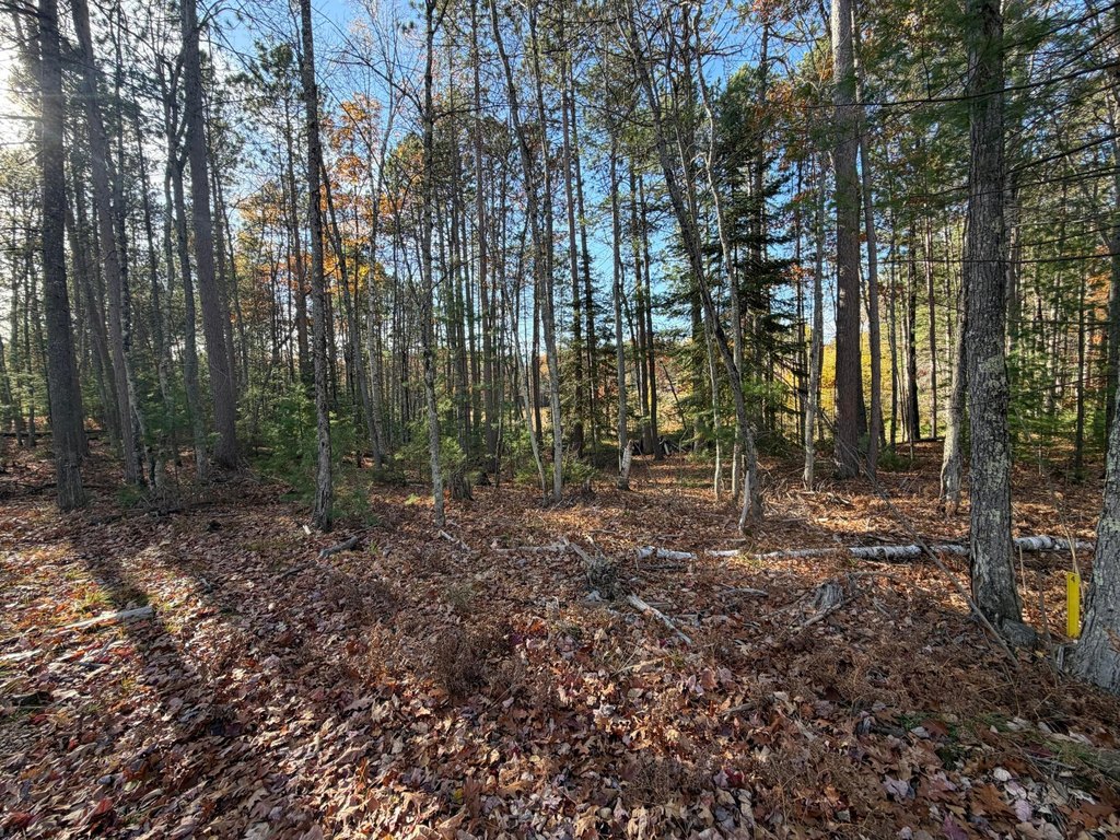 Picture 21