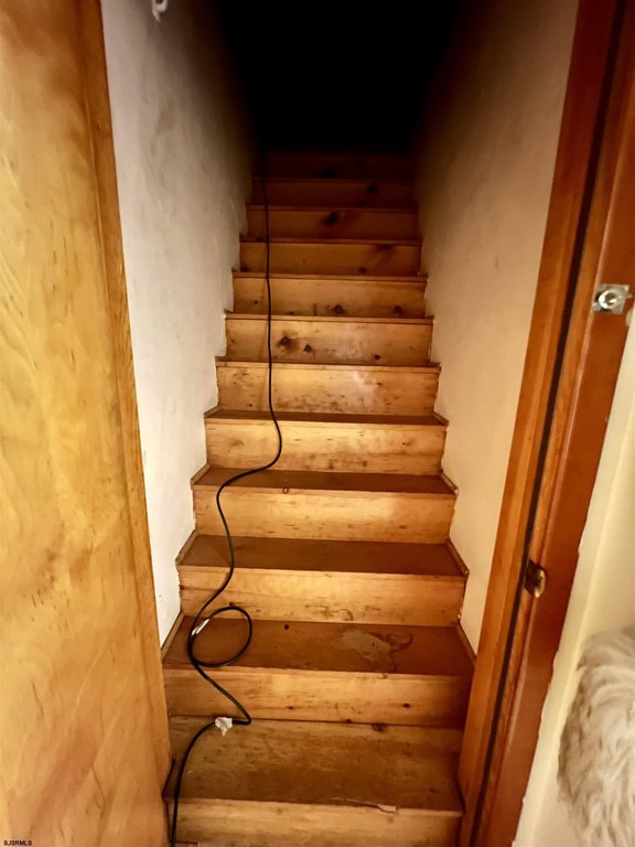 Picture 23