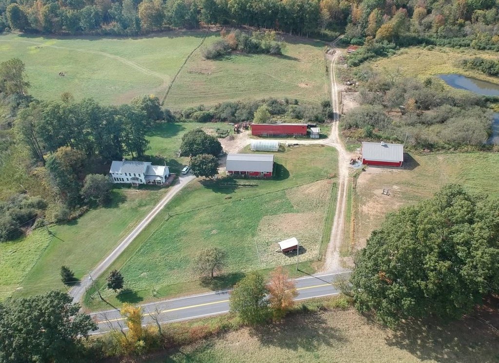 Picture 25
