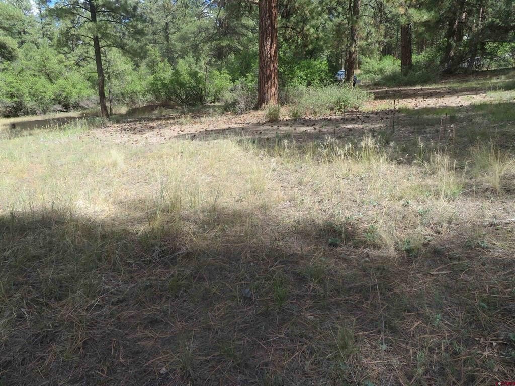 Picture 10