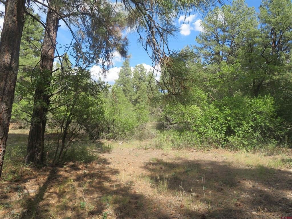 Picture 14