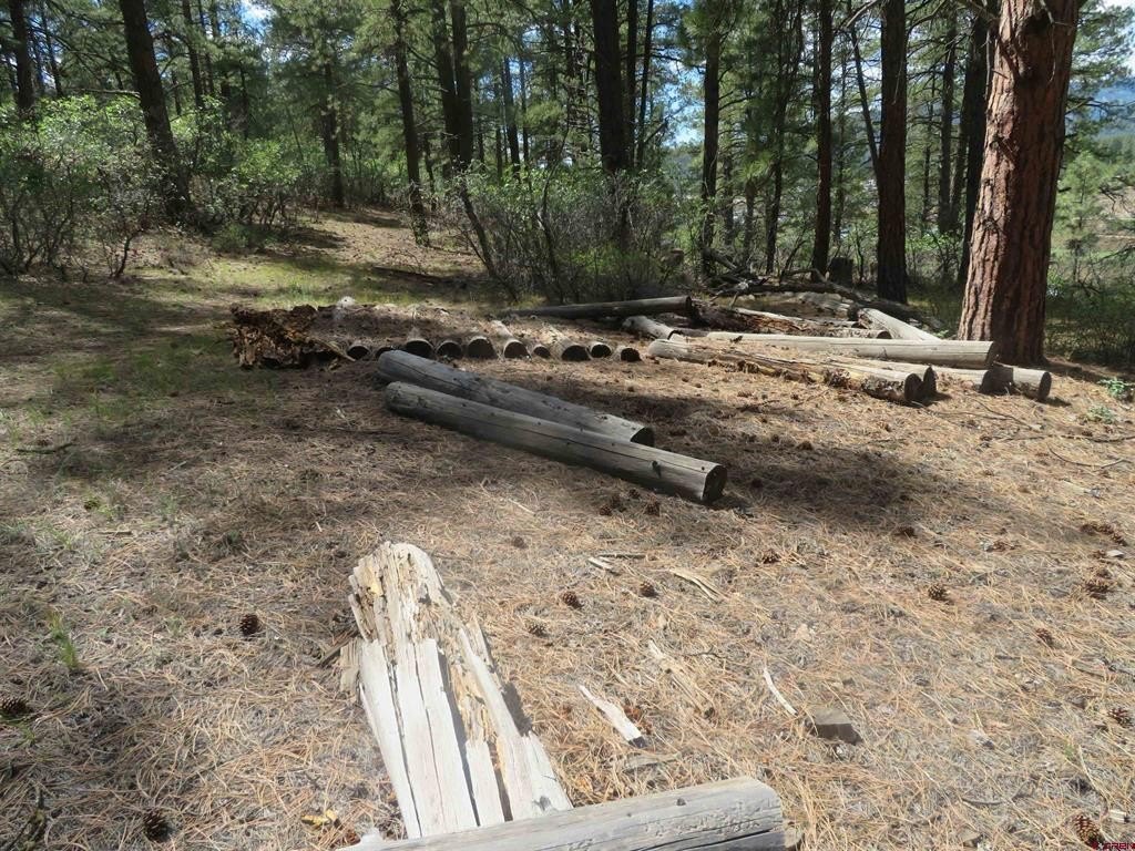 Picture 11
