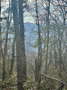 Vacant Lot, Blue Ridge, GA