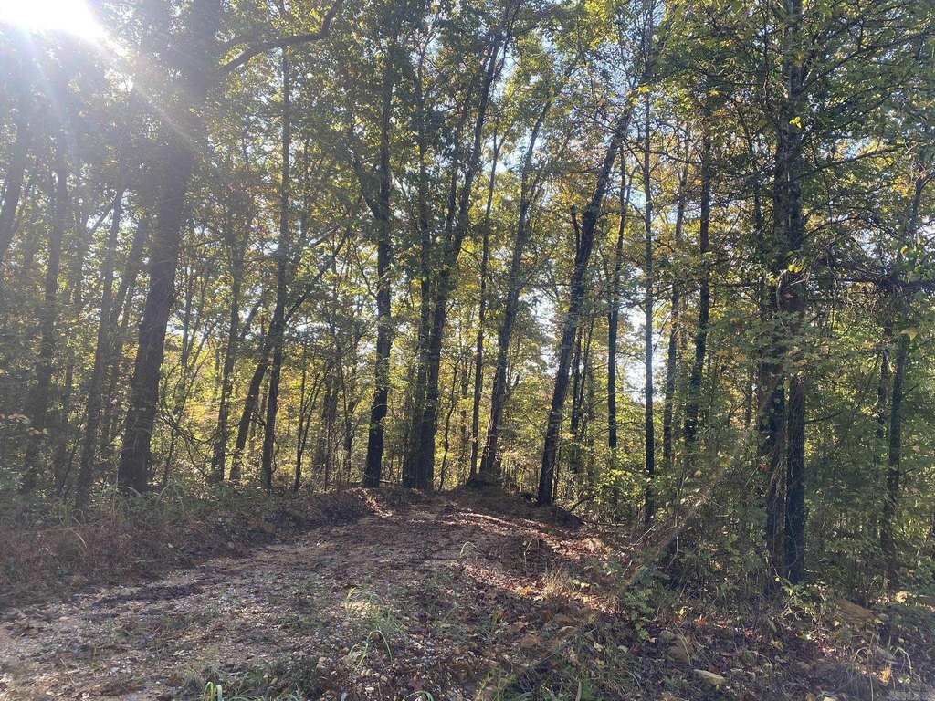 Picture 15