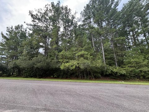 Land, Moncks Corner, SC