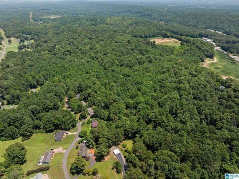 LAND - ONEONTA, AL