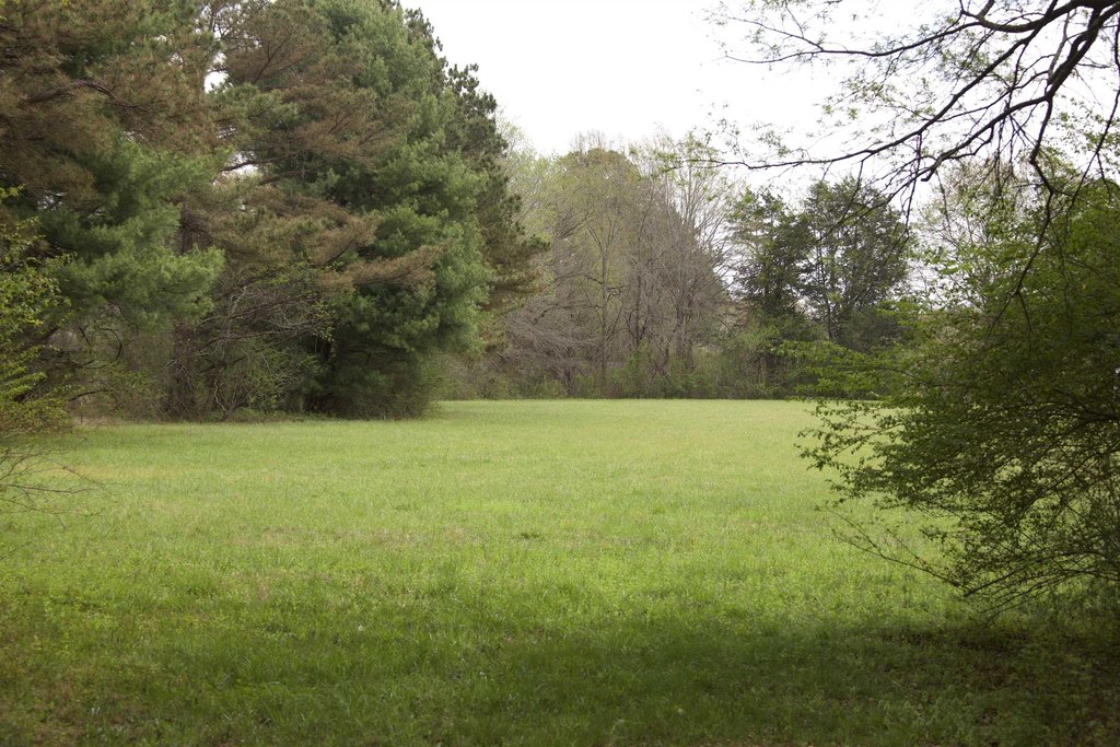 Picture 12