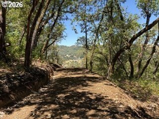 Picture 14