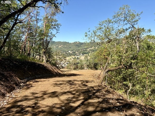 Picture 15