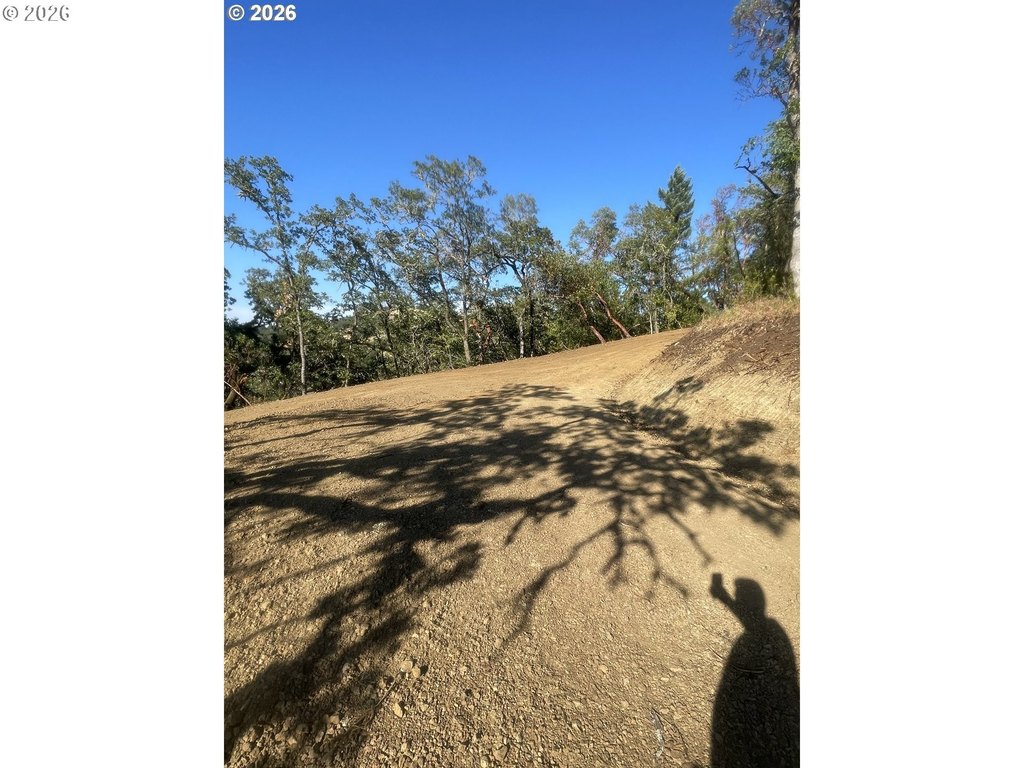 Picture 21