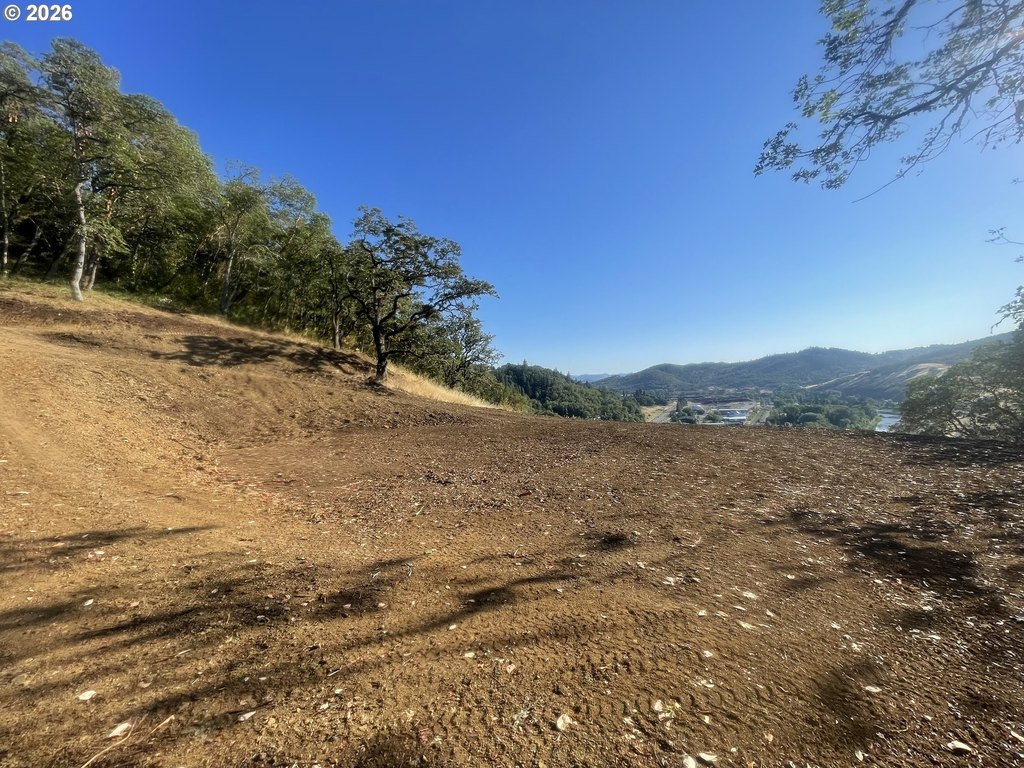 Picture 24