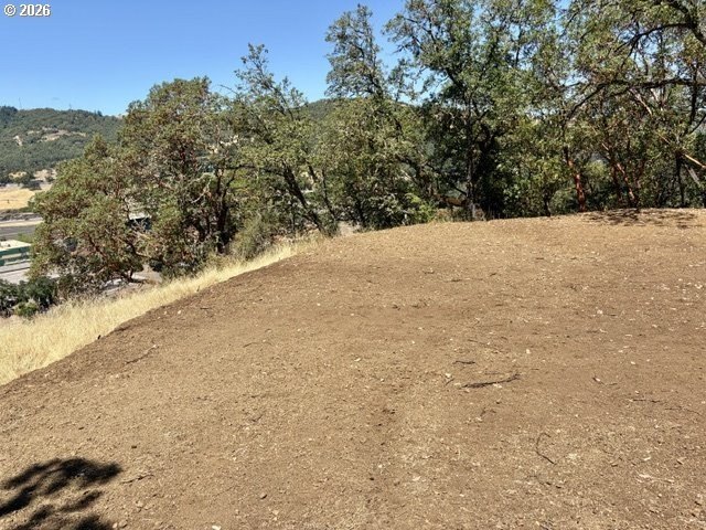 Picture 3