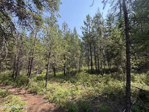 Land, Spirit Lake, ID