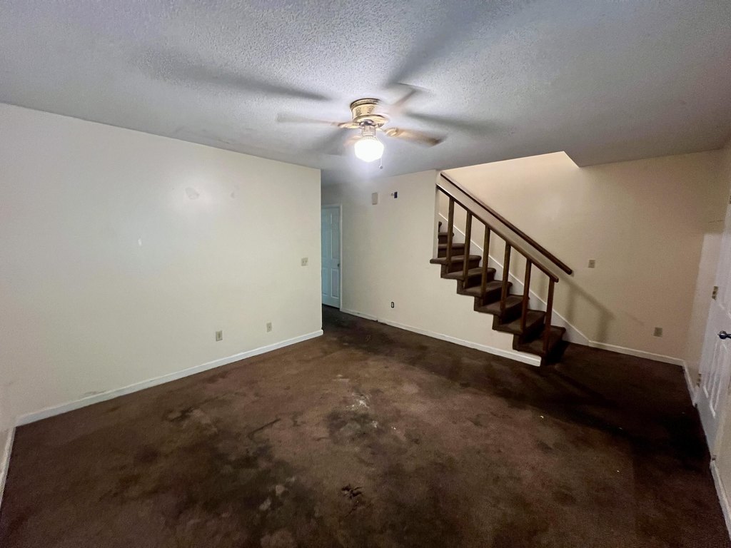 Picture 30