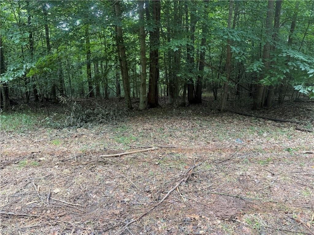 Picture 19