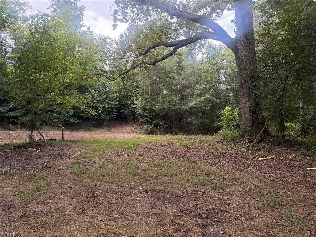 Picture 23