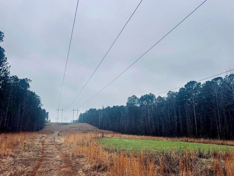Recreational Timber Tract with Trails