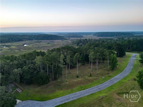 Land, Townsend, GA
