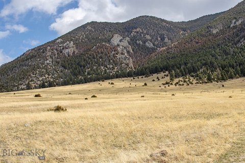 Land Bordering National Forest