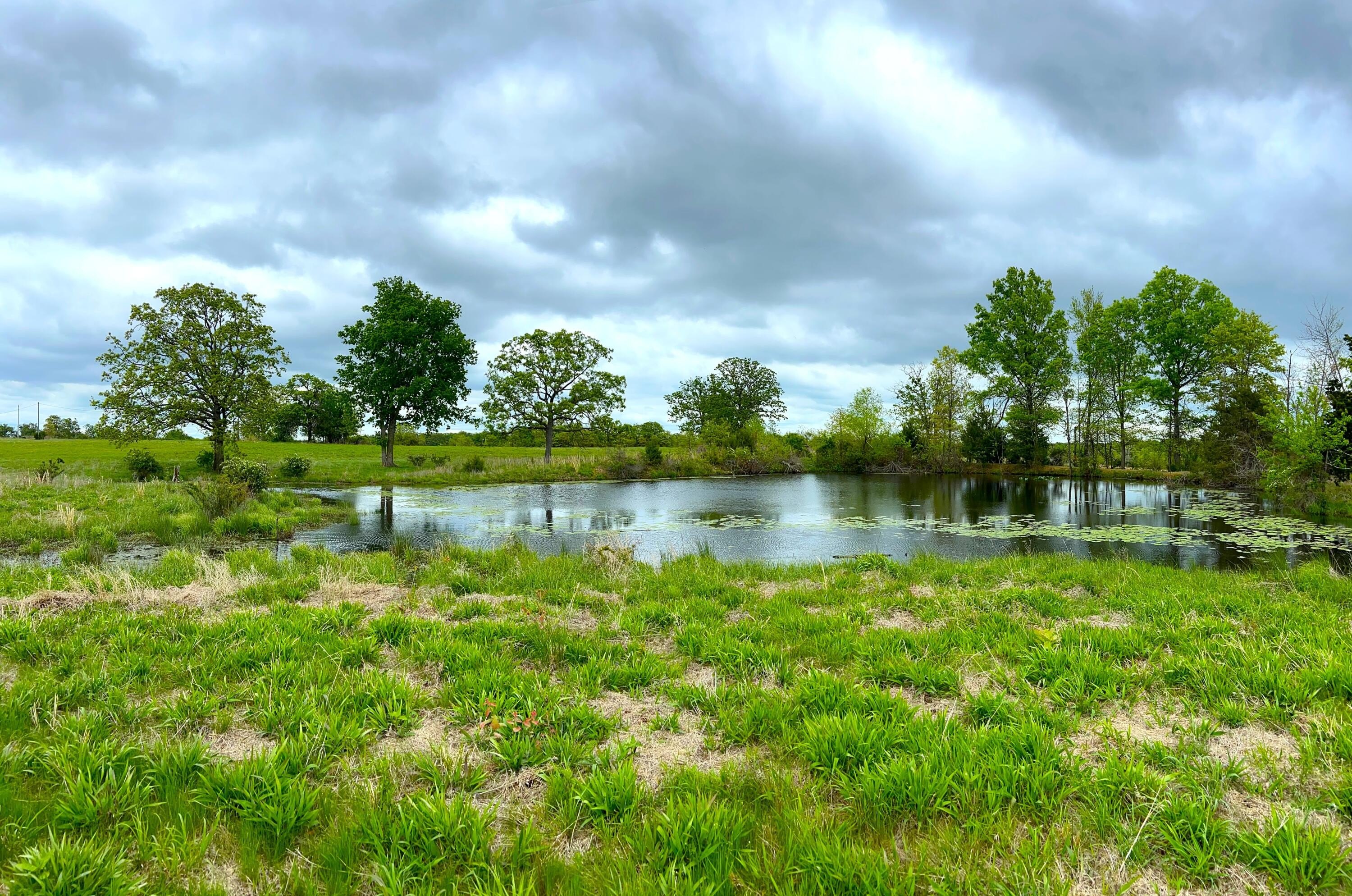 73.65 Acres of Mixed-Use Land