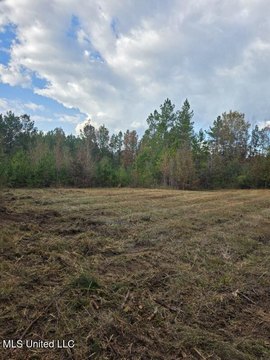 Prentiss, MS Recreational Investment Land