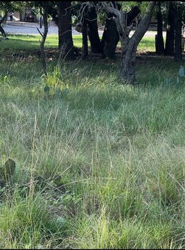 Lake Brownwood RV Lot