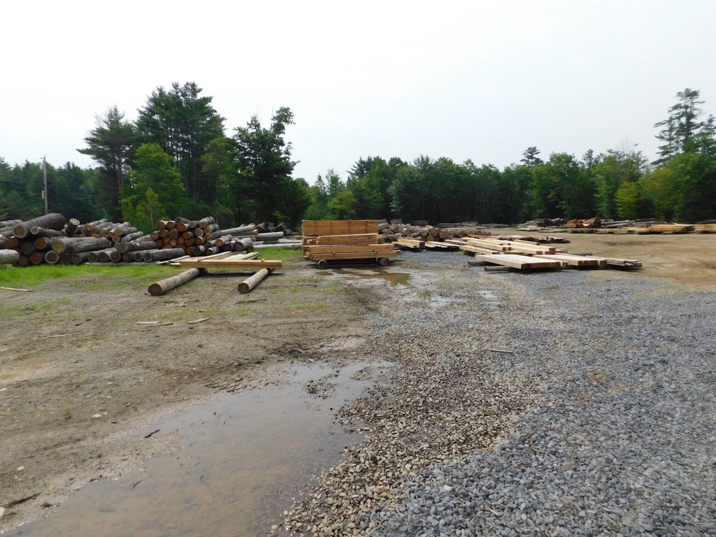 Picture 6