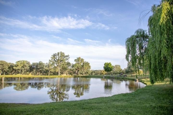 Picture 25