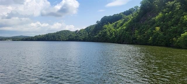 Lakefront Land with Lighthouse Charm