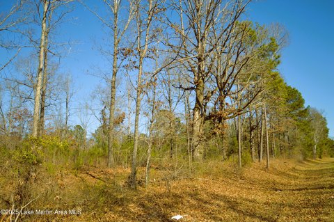 Commercial Land in Dadeville, AL