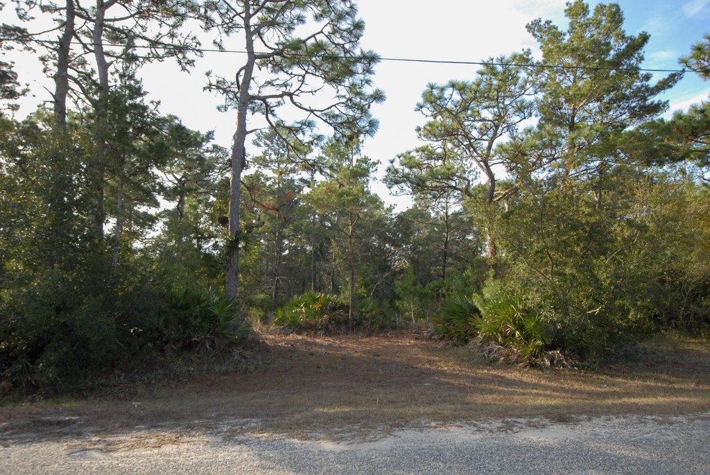 Picture 4