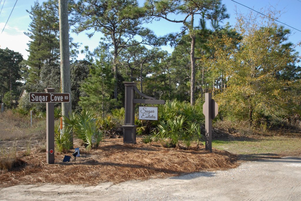 Picture 2