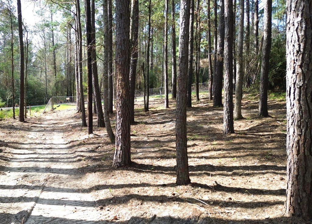 Picture 9
