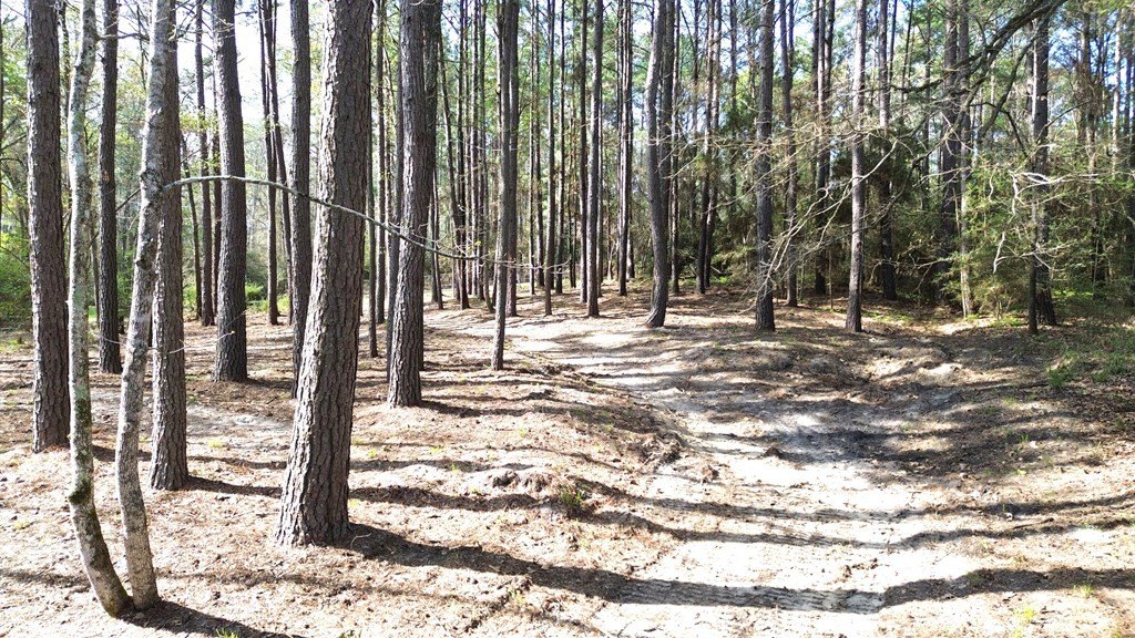 Picture 10