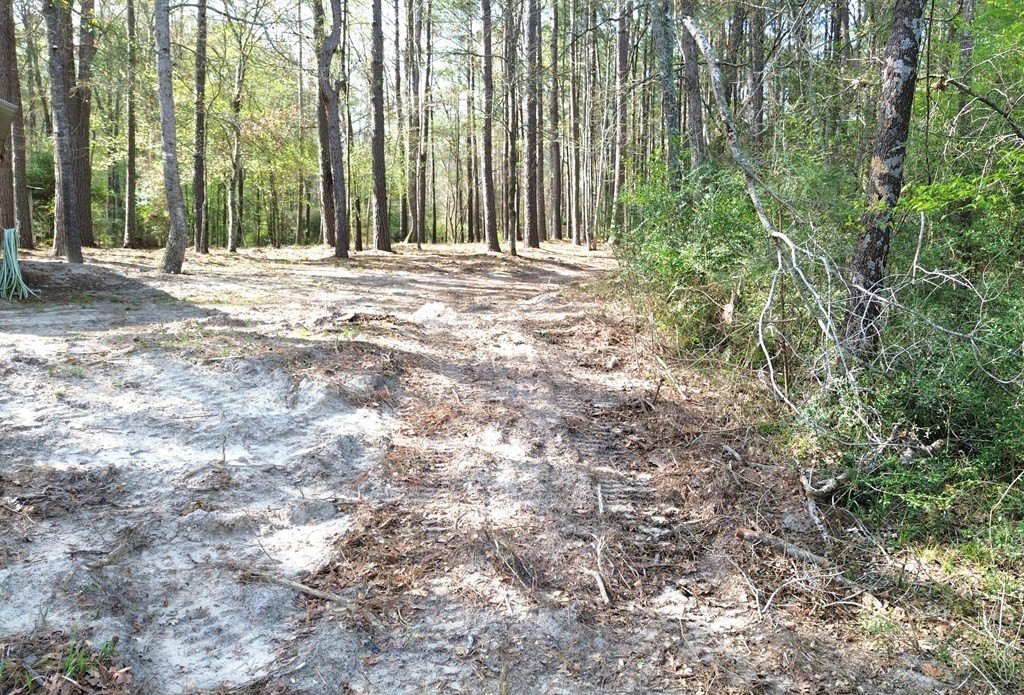 Picture 12