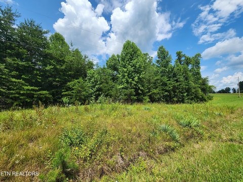 Lots & Acreage, Deer Lodge, TN