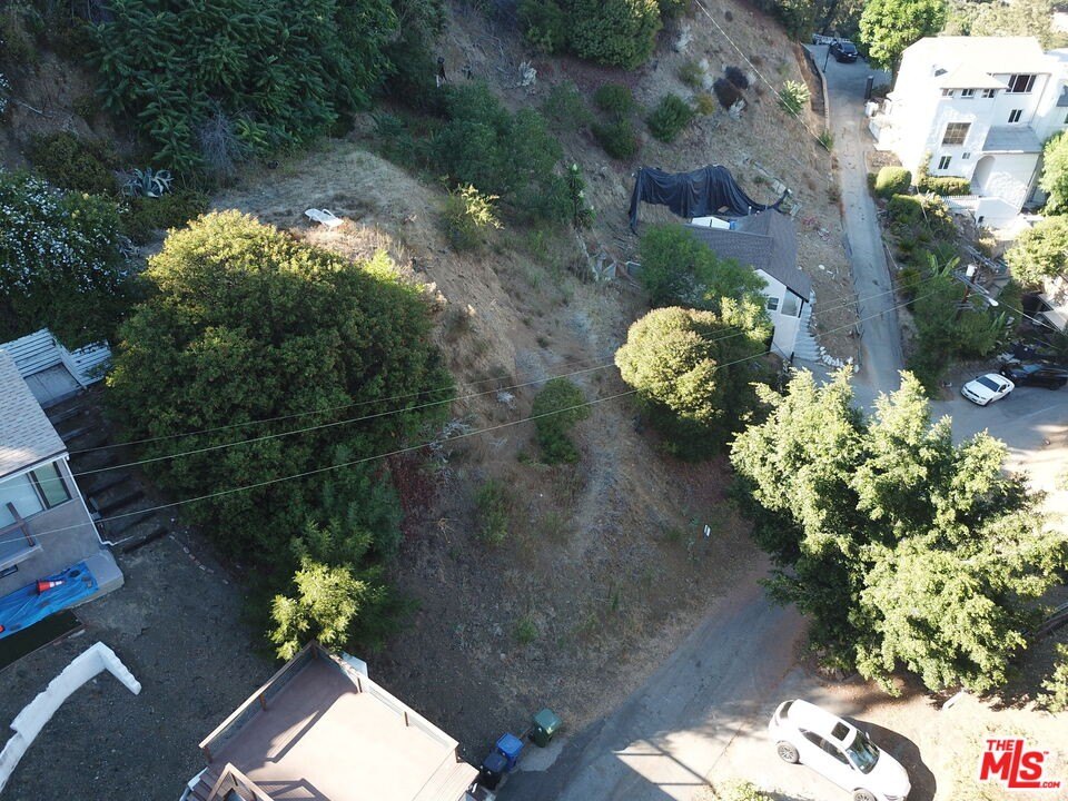 Picture 10