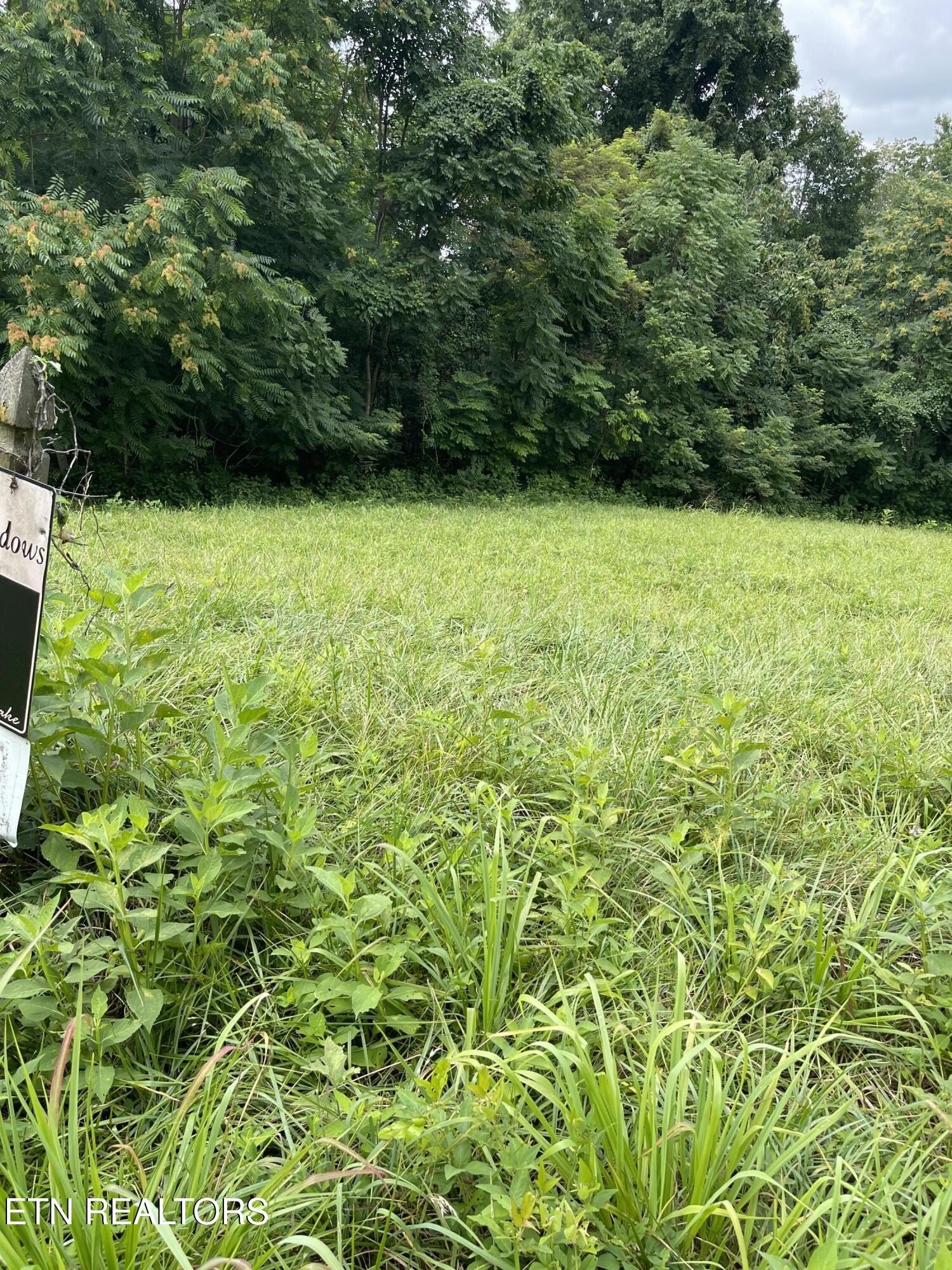 Maynardville Land Near Norris Lake