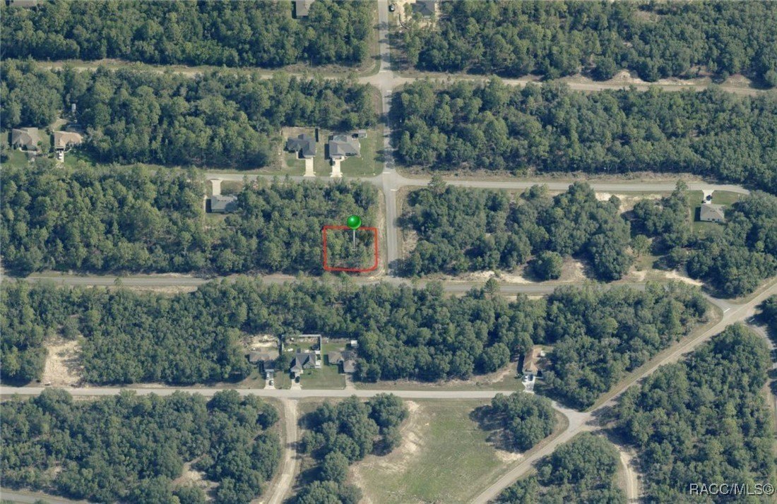 Citrus Springs Corner Lot
